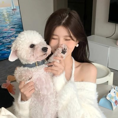 笨金鱼